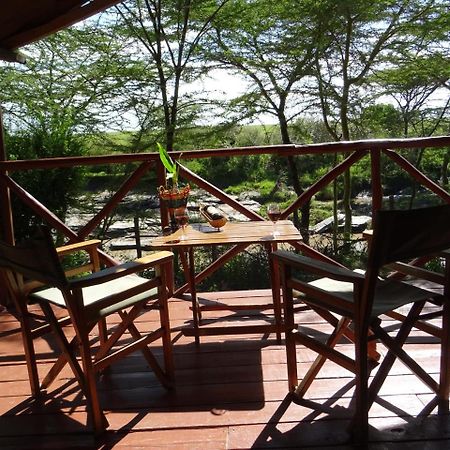 Отель Crocodile Camp-Masai Mara Talek Экстерьер фото